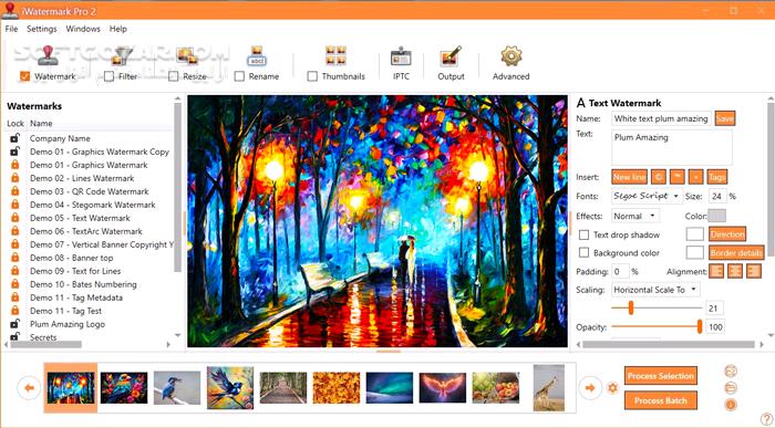 دانلود iWatermark Pro 2 v4.0.35 (x64) - دانلود قرار دادن واترمارک روی عکس - سافت گذر