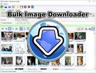 دانلود Bulk Image Downloader 6.41