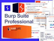 دانلود Burp Suite Professional 2024.1.1.4
