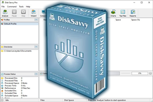 دانلود Disk Savvy 17.9.18 Pro + Enterprise