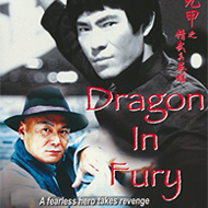 دانلود Dragon in Fury