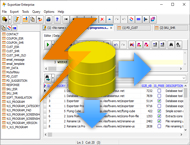 دانلود Exportizer Enterprise 10.0.5.674