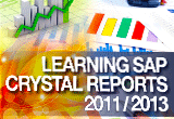 دانلود InfiniteSkills - Learning SAP Crystal Reports 2011/2013