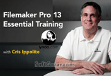 دانلود Lynda - FileMaker Pro 13 Essential Training