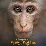 دانلود Monkey Kingdom