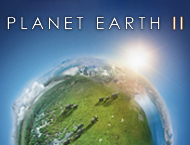 دانلود Planet Earth II