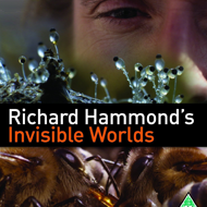 دانلود Richard Hammond's Invisible Worlds