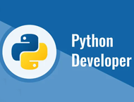 دانلود Professional Python Developer Bootcamp