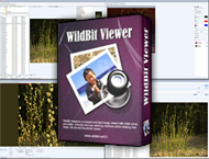 دانلود WildBit Viewer 6.12 Commercial