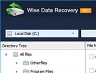 دانلود Wise Data Recovery Pro 6.1.6.498