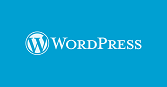 دانلود WordPress 6.2.2 + Farsi
