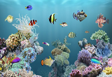 دانلود aniPet Aquarium Live Wallpaper 2.5.2 for Android +2.1