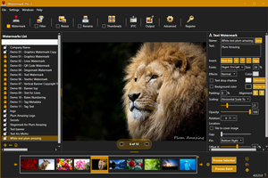 دانلود iWatermark Pro 2 v4.0.35 (x64)