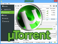 دانلود μTorrent Pro 3.6.0 Build 47062