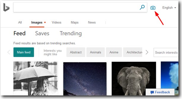 موتور جستجو گوگل بینگ مایکروسافت جستجوی تصویری