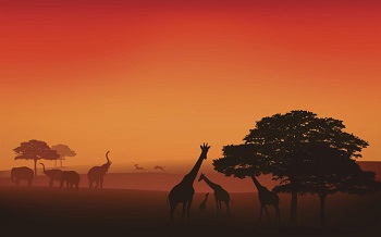 ویندوز ویندوز 10 مایکروسافت سیستم عامل تم جدید ویندوز 10