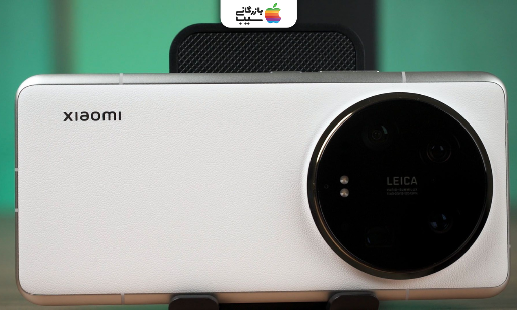 صحنه‌ای طبیعی با رنگ‌های زنده و جزئیات دقیق که حس واقعی لحظه را منتقل می‌کند.