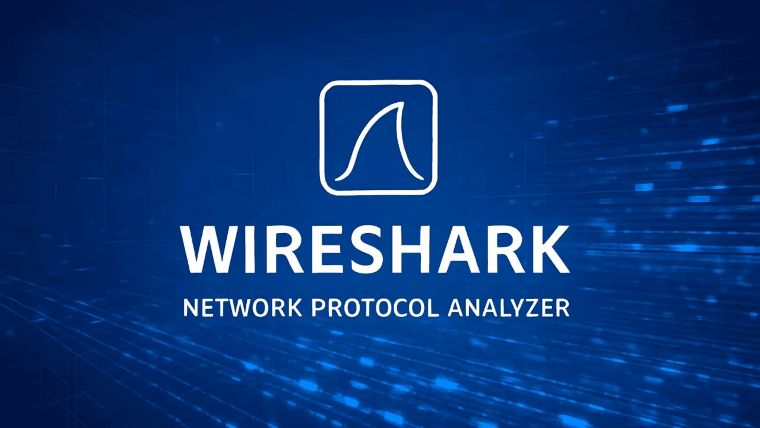 Wireshark 4.4.8: ابزار قدرتمند تحلیل شبکه با ویژگیهای جدید و رفع باگهای مهم